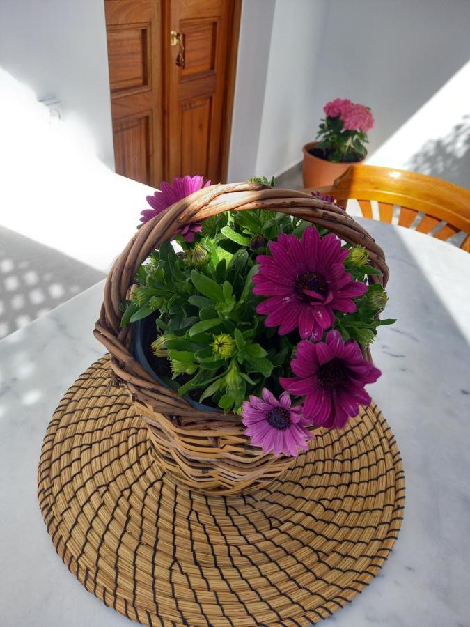 Patmos Little Suites Skála Dış mekan fotoğraf